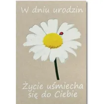 Trend Kartka okoliczno�ciowa Urodziny