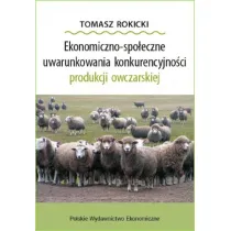 Ekonomiczno-spo�eczne uwarunkowania