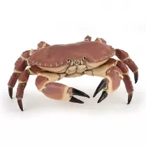 Krab