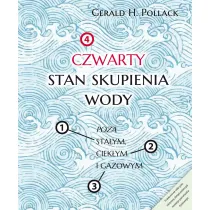 Czwarty stan skupienia wody. Poza sta�ym, ciek�ym i gazowym