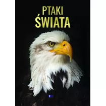 Ptaki wiata
