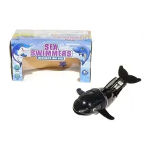 Delfin pywajcy