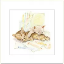 DaVinci Karnet G04 41G 053 + koperta Kot rysowany 16x16 cm