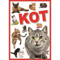 Koty. Biblioteka wiedzy