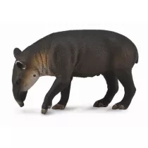 Tapir ciel bairda