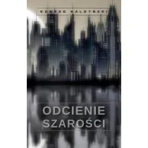 Odcienie szaro�ci