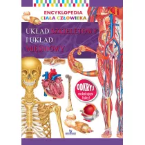 Encyklopedia ciaa czowieka Ukad kostny i ukad miniowy