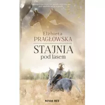 Stajnia pod lasem