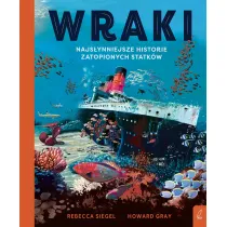 Wraki. Najsynniejsze historie zatopionych statkw