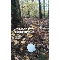 Krajobrazy pandemiczne