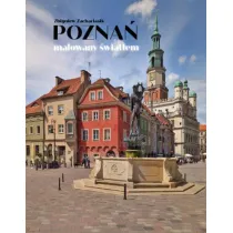 Pozna� malowany �wiat�em