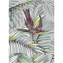 Museums & Galleries Karnet B6 z kopert� Sunbird