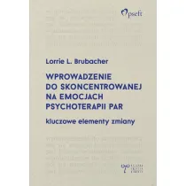 Wprowadzenie do skoncentrowanej na emocjach psychoterapii par. Kluczowe elementy zmiany