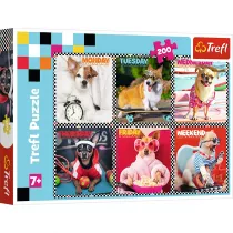 Puzzle 200 el. Wesoe psy Trefl