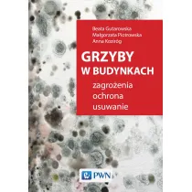 Grzyby W Budynkach.
