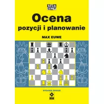 Ocena pozycji i planowanie