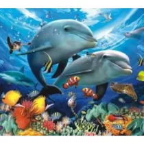 Norimpex Malowanie po numerach. Delfiny, oceanarium 40 x 50 cm