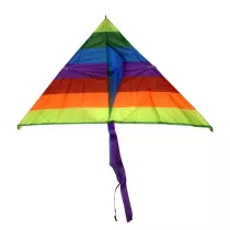 Latawiec kolorowy 68cm Pro Kids