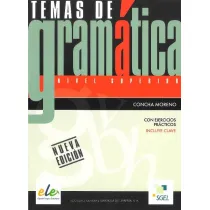 Temas de gramatica con ejercicios practicos
