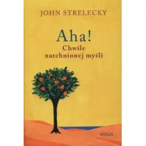 Aha! Chwile natchnionej my�li