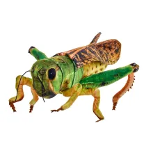 Konik polny 41cm Beppe