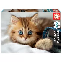 Puzzle 200 el. May kotek Educa