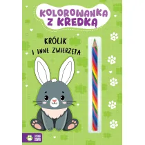 MALOWANKA KROLIK KREDKA ZS