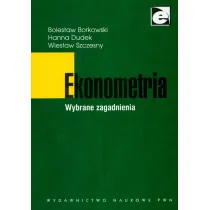 Ekonometria. Wybrane zagadnienia