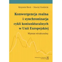 Konwergencja realna i synchronizacja cykli koniunkturalnych w Unii Europejskiej. Wymiar strukturalny