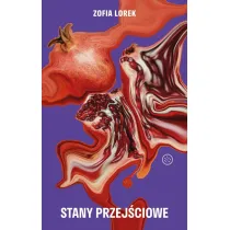 Stany przej�ciowe