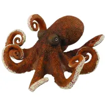 O�miornica