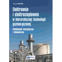 Elektrownie i elektrociep�ownie w hierarchicznej technologii gazowo-gazowej