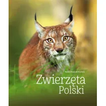 Zwierz�ta Polski