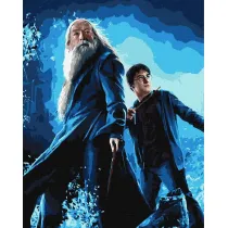 Ideyka Malowanie po numerach - Harry Potter 40x50cm