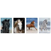 Interdruk Zeszyt A5/16K 3kol linia UV Wild Horses (20szt)