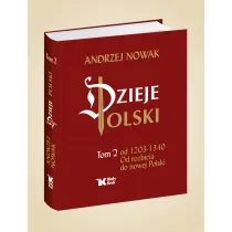 Dzieje Polski. Tom 2. Od rozbicia do nowej Polski