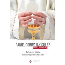 Nauczycielu dobry (zeszyt katechisty)