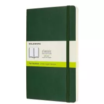 Moleskine Notes Myrtle Green