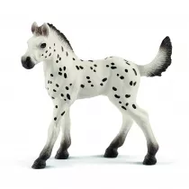 rebi rasy Knapstrupper Foal
