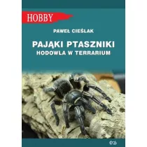 Pajki ptaszniki. Hodowla w terrarium