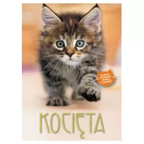 Kocita