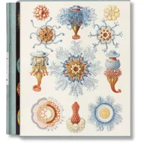 The Art and Science of Ernst Haeckel