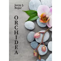 Orchidea