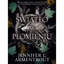 �wiat�o w p�omieniu