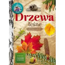 Mody obserwator przyrody. Drzewa lene