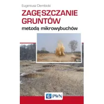 Zag�szczanie grunt�w metod� mikrowybuch�w