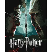 Ideyka Malowanie po numerach - Harry i Voldemort metal