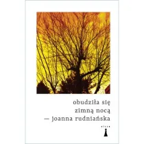 Obudzi�a si� zimn� noc�