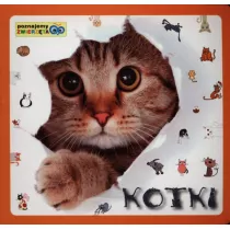 Poznajemy zwierzta - Kotki