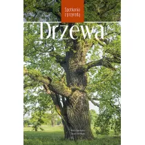Drzewa. Spotkania z przyrod�